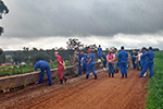 Dia de campo Medicina Veterinária -  Anápolis/GO