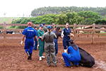 Dia de campo Medicina Veterinária -  Anápolis/GO
