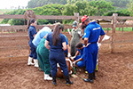 Dia de campo Medicina Veterinária -  Anápolis/GO