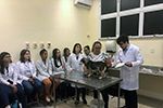 OBVET - Semana Acadêmica de Medicina Veterinária