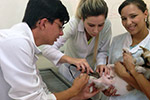 Campanha de Castração 2015.1 - Hospital Veterinário