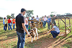 Aula prática Veterinária - Unidade Produtora de Leite UFG