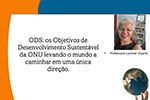  ODS: Os desafios de combate às desigualdades e proteção ambiental
