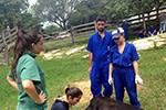 Dia de Campo - Medicina Veterinária