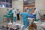 Campanha de  esterilização em Animais de Companhia - Hospital Veterinário