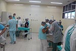Campanha de  esterilização em Animais de Companhia - Hospital Veterinário